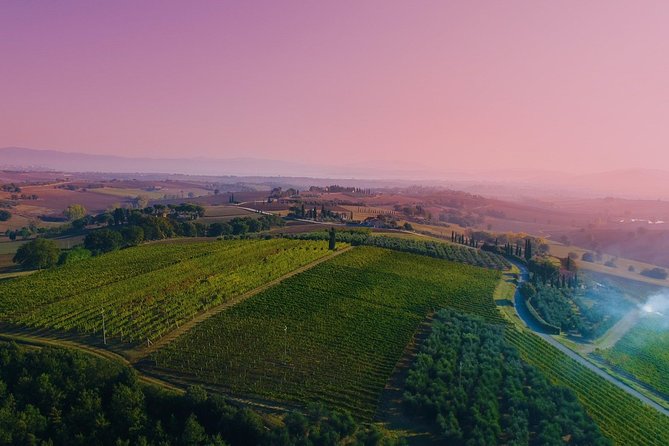 Wine Tasting & Tour Premium - Overview and Inclusions