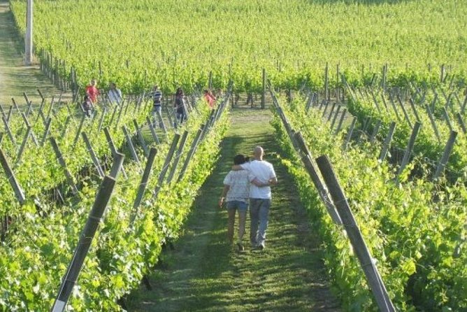 Wine Tasting & Tour Premium - Traveler Photos and Reviews