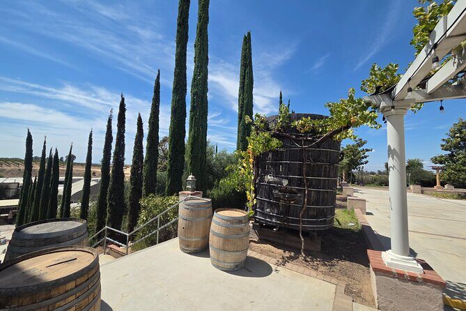 Wine tasting Tour to Temecula from San Diego (Private) - Insights from Past Participants