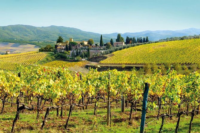 Wine Tasting & Tuscany Countryside, San Gimignano & Volterra - Visit to San Gimignano