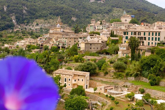 Wine Tasting, Valldemossa and the Serra De Tramuntana - Tips for an Unforgettable Trip