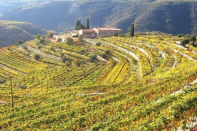 Wine Tasting, Valpolicella Cellar Visit, Amarone and Red Wines Region Day Tour - Booking Information