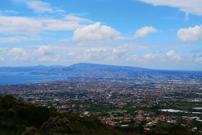 Wine Tasting & Vesuvio Vulcano - Exclusive Experience All Inclusive - Itinerary Highlights