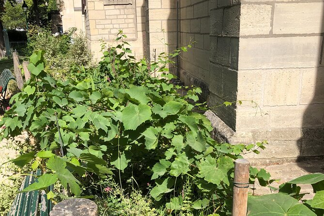 Wine Tasting Walking Tour in Saint-Germain-des-Prés - Tasting Locations
