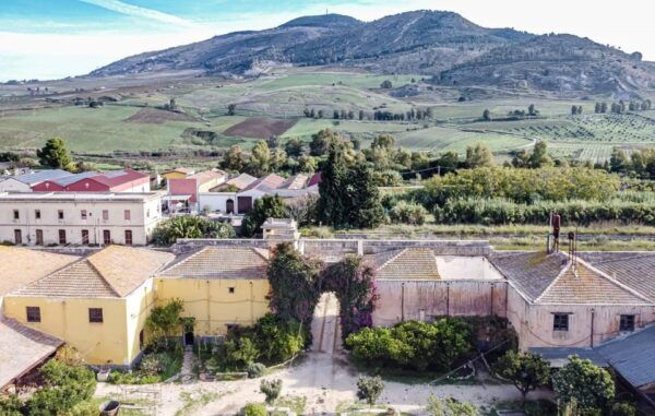 Wine Tasting Whit Painting Lesson in Baglio Florio - Customer Reviews and Testimonials