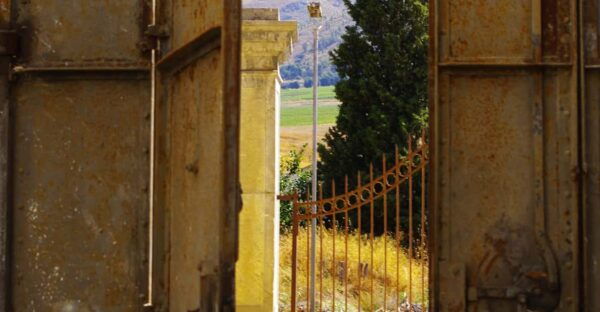 Wine Tasting Whit Painting Lesson in Baglio Florio - Frequently Asked Questions