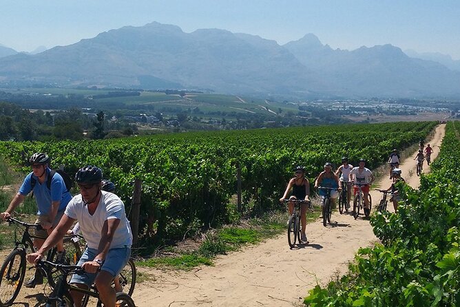 Wine Tasting With Bike Tour in Castiglione Di Sicilia - Good To Know