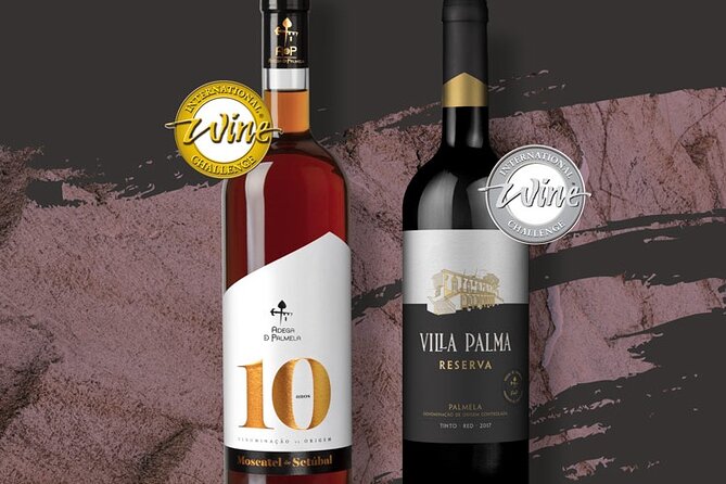 Wine Tasting With Cheeses and Regional Sweets From Setúbal Half Day - Cancellation Policy