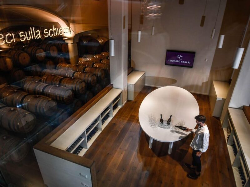 Wine Tasting with Food Pairing near Bologna - Good To Know