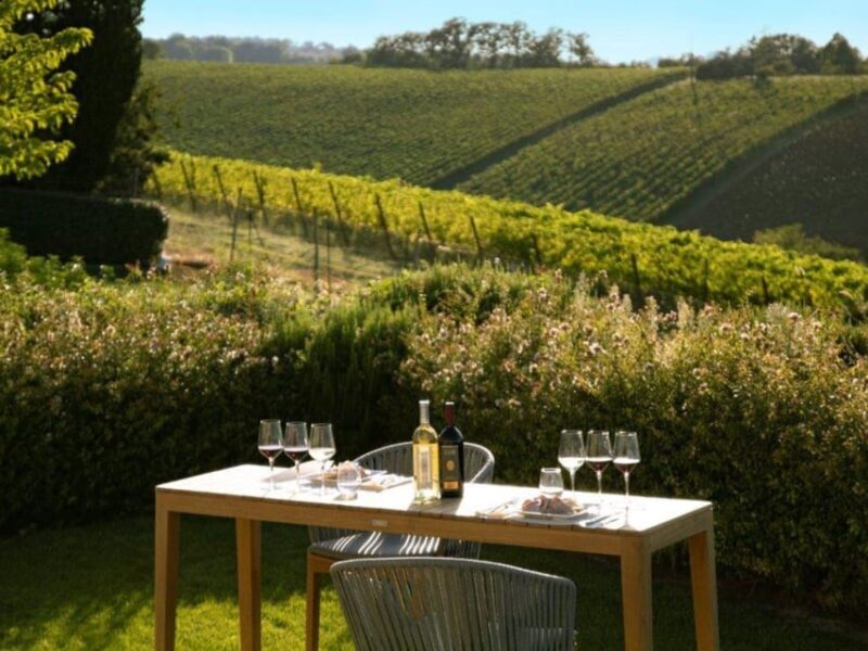 Wine Tasting with Food Pairing near Bologna - Why This Tour Adds Value