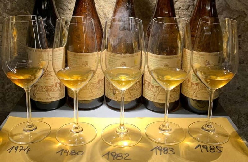 Wine Tasting with Local Bites in Pisa near the Tower - Good To Know