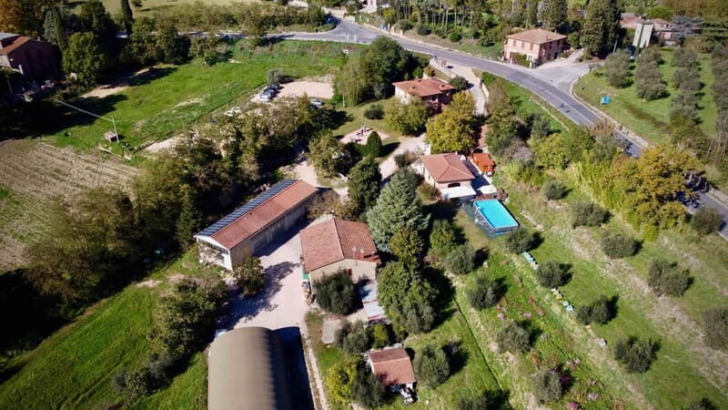 Wine Tasting with Local Food near Montepulciano - A Taste of Tuscany: Wine Tasting with Local Food near Montepulciano