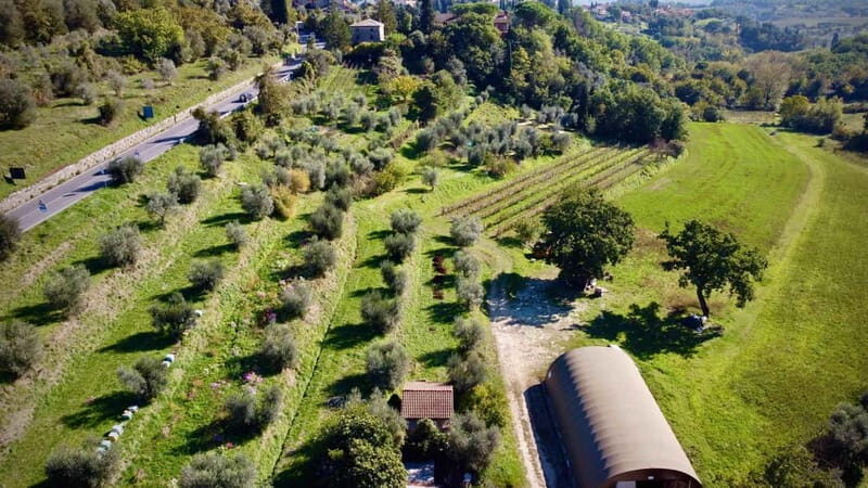 Wine Tasting with Local Food near Montepulciano - Why This Tour Works