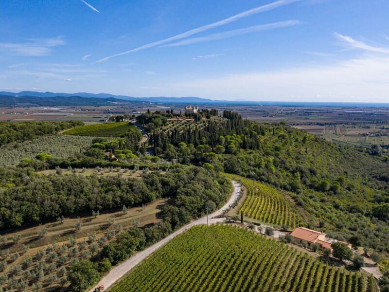 Wine Tasting with Local Food Pairing near Livorno - The Practical Details: What You Should Know