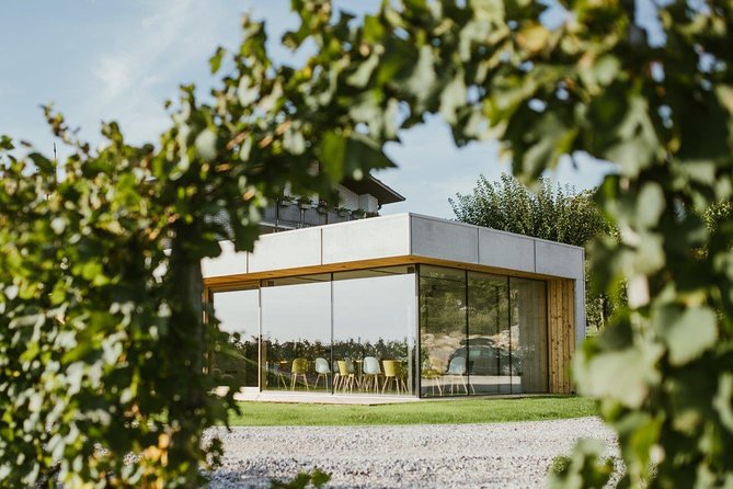 Wine Tasting With Pairing Snacks in Vipava Valley - Experience Inclusions