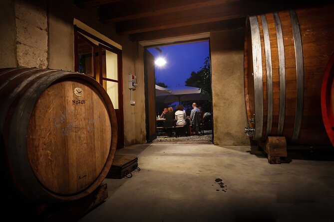 Wine Tasting With Panoramic View of Verona - Guided Tour of the Countryside and Cellar