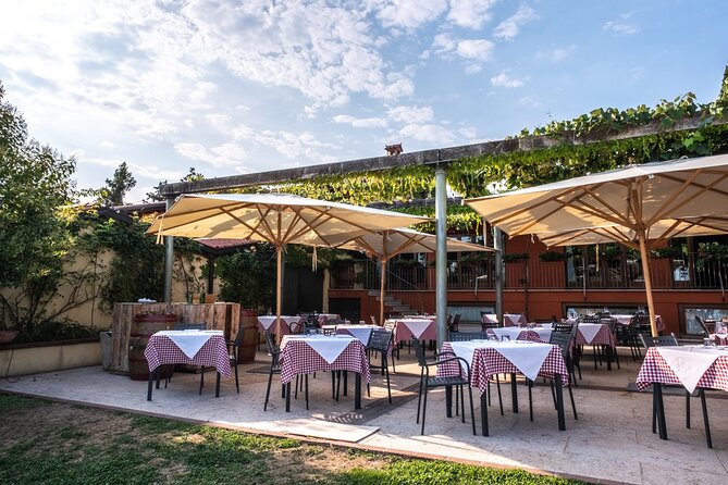 Wine Tasting With Panoramic View of Verona - Customer Testimonials and Positive Feedback