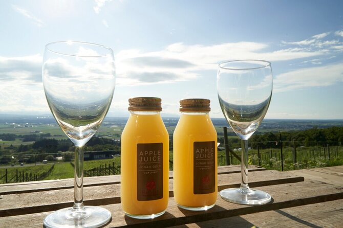 Wine Tasting With Super View on a Private Deck at Maoinooka Park - Booking and Confirmation Details