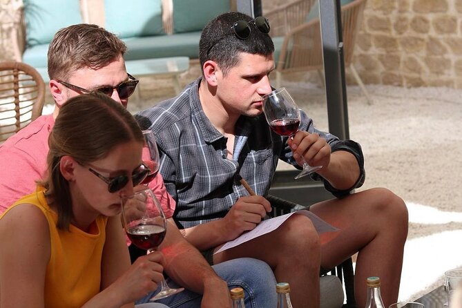 Wine Tasting With Wines From the Smallest Wineries in Mallorca - A Journey Through the Vineyards of Mallorca