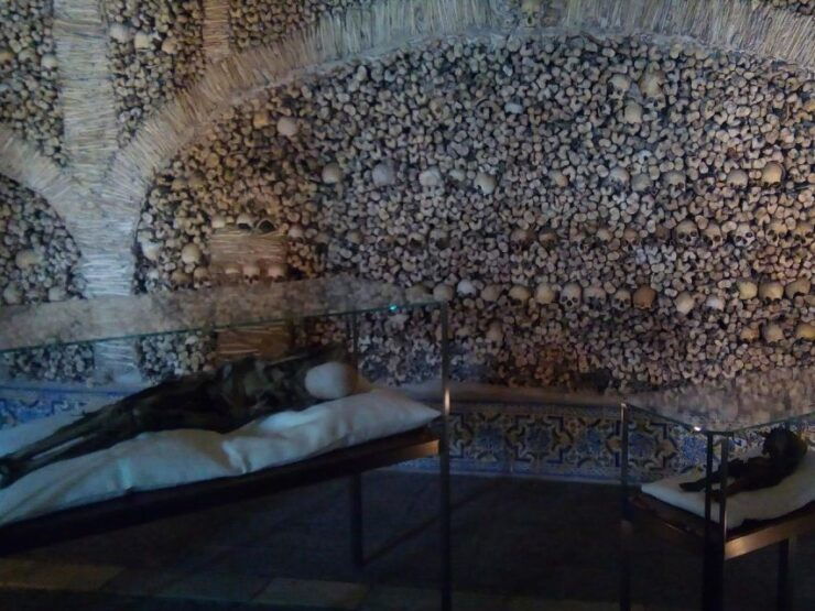 Wine, Temple of Diana and Bone Chapel in a Half Day Private - Tour Details
