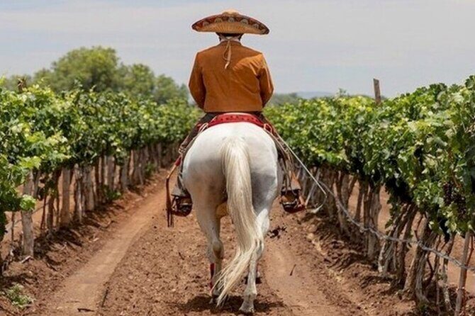 Wine Tour and Horseback Ride through the Mountains of Guanajuato - What to Expect from the Guanajuato Mountain Horseback and Wine Tour