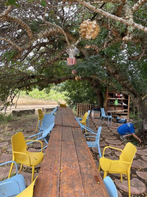 Wine Tour and Lunch or Dinner at Our Vineyard - Inclusions