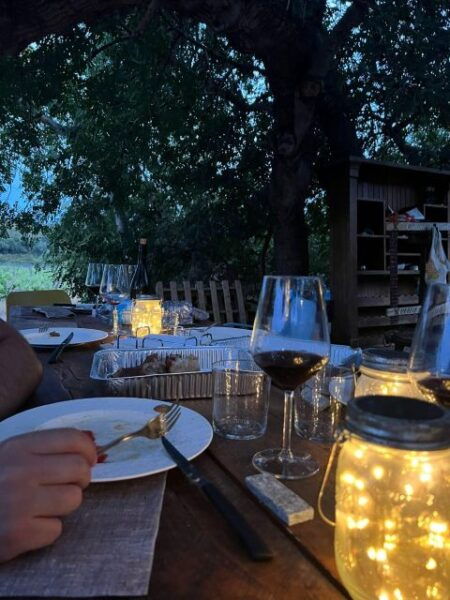 Wine Tour and Lunch or Dinner at Our Vineyard - The Sum Up