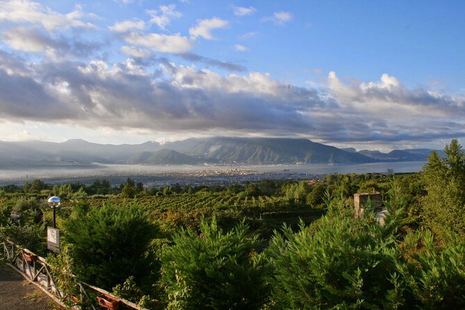 Wine Tour and Lunch With Winetasting and Vineyard Visit - Additional Information