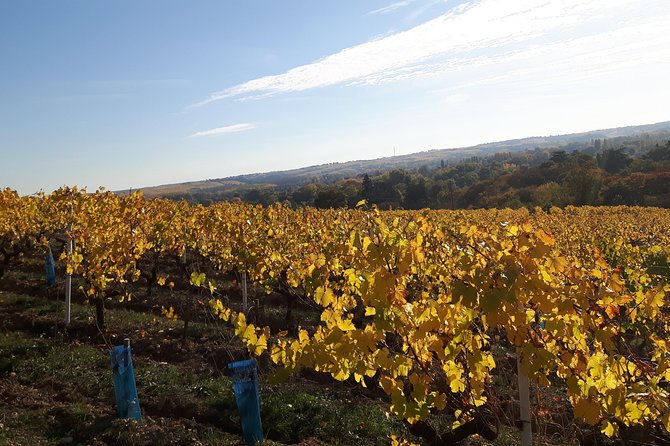 Wine Tour and Tasting at Domain FL - Common Questions