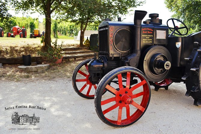 Wine Tour and Tasting at Le Marches Oldest Wine Estate - Native Wine Selections
