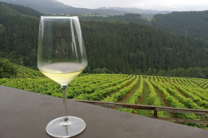 Wine Tour and Tasting at the Organic Winery in Basque Country - Organic Winery: Discover the Sustainable Practices