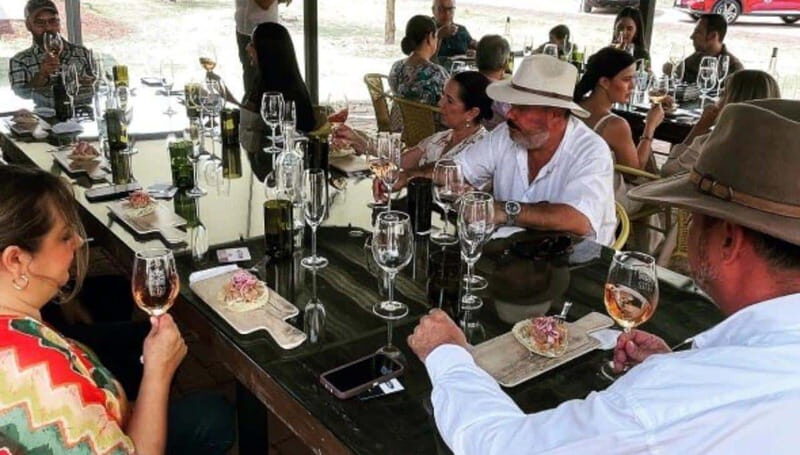 Wine tour and tasting at Vinícola Tierra de Luz - Exploring the Wine Tour and Tasting at Vinícola Tierra de Luz