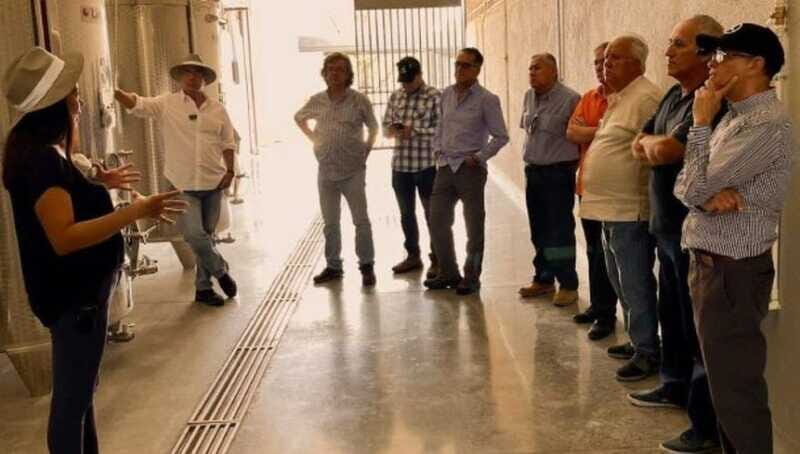 Wine tour and tasting at Vinícola Tierra de Luz - The Sum Up