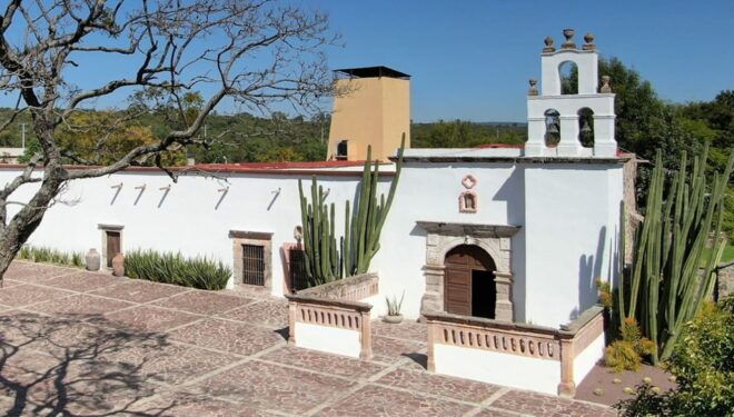 Wine Tour and Tasting at Vinicola Tierra De Luz - Winemaking Process Explained