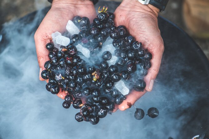 Wine Tour and Tasting Chateau De Malherbes - Whats Included