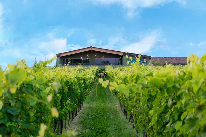 Wine Tour and Tasting of Lugana Wines in Desenzano - The Sum Up