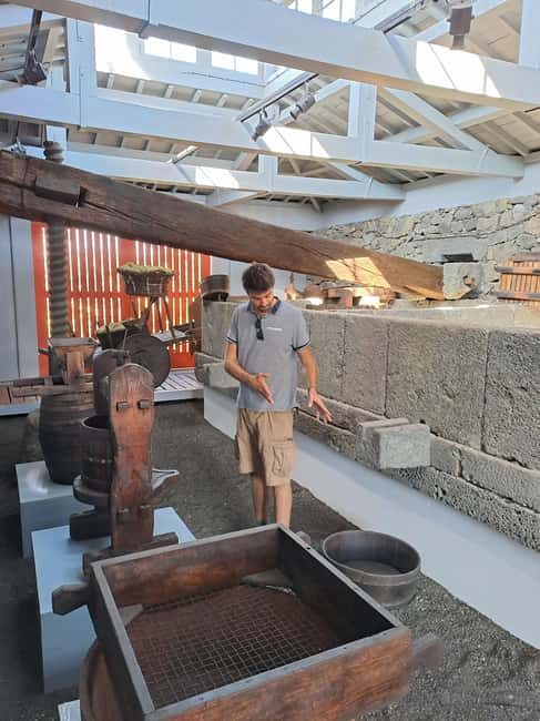 Wine Tour and Tasting with a local Winemaker at Pico Island - Good To Know