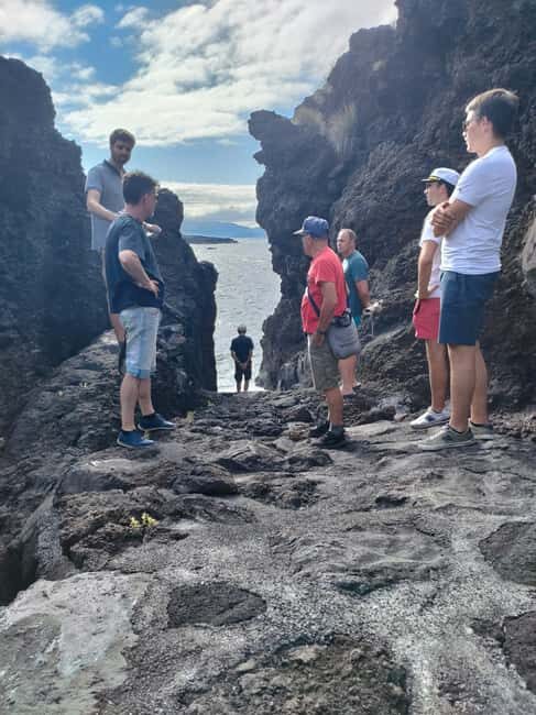 Wine Tour and Tasting with a local Winemaker at Pico Island - Who Is This Tour Best For?