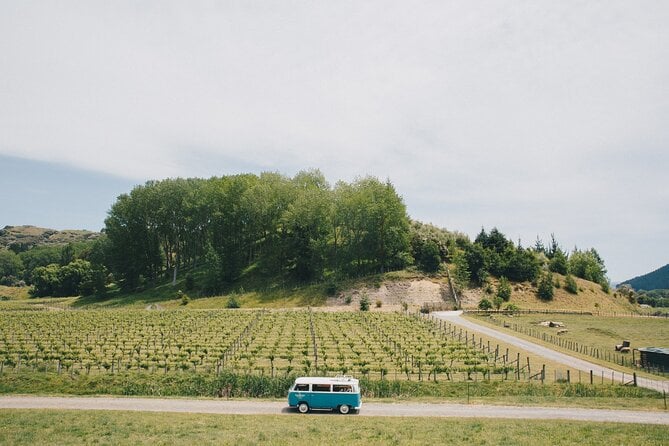 Wine Tour and Tastings in Hawkes Bay - Common Questions