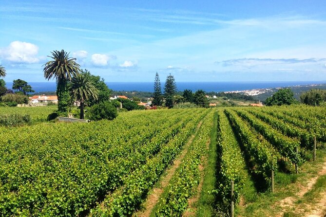 Wine Tour and Wine Tasting to Sintra, Lord Byron Eden Garden - Booking Information