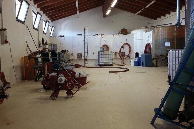 Wine tour aroud vineyards of Cagliari - The Experience’s Vibe: Small Group Charm and Authenticity