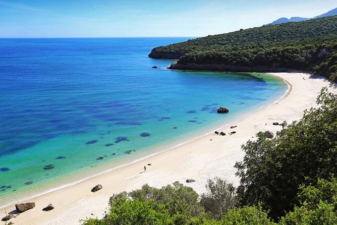 Wine Tour - Art Wine & Passion - Customer Experience and Testimonials