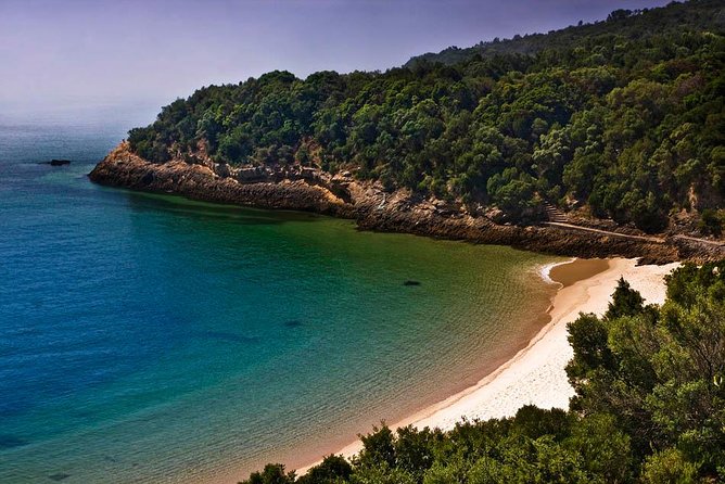 Wine Tour - Art Wine & Passion - Frequently Asked Questions