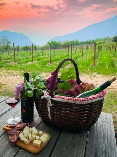 Wine tour at Borgo dei Posseri: wine, nature, and authenticity - Good To Know