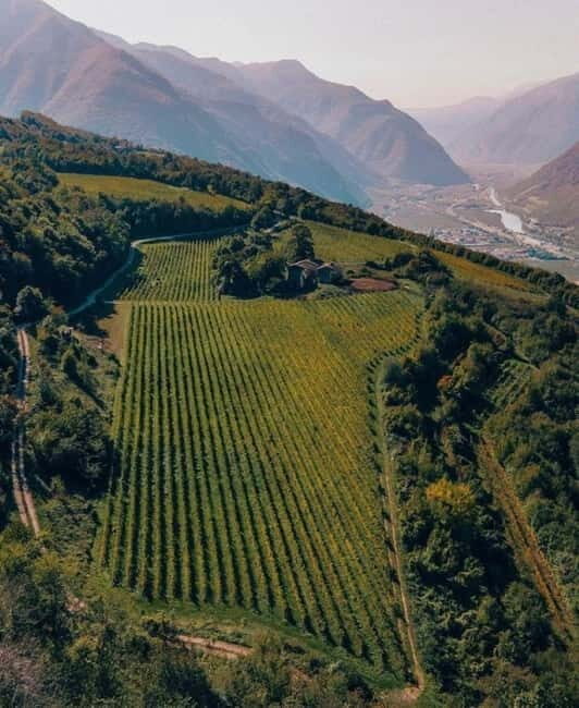 Wine tour at Borgo dei Posseri: wine, nature, and authenticity - The Sum Up