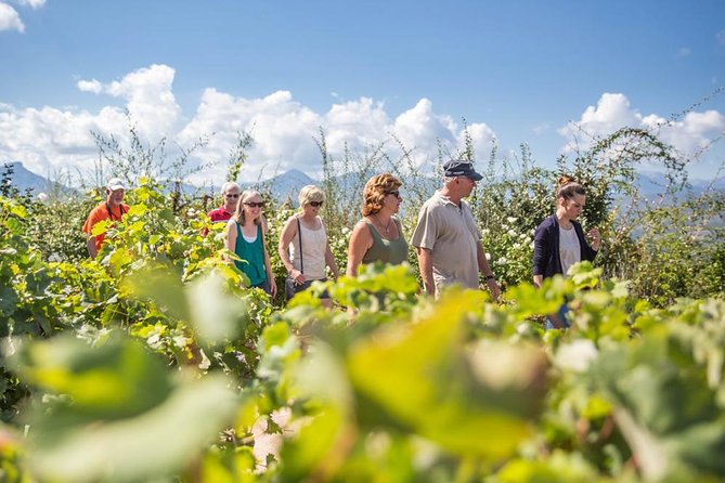 Wine Tour at the Footsteps of Hercules in Nemea From Nafplio - Tour Highlights