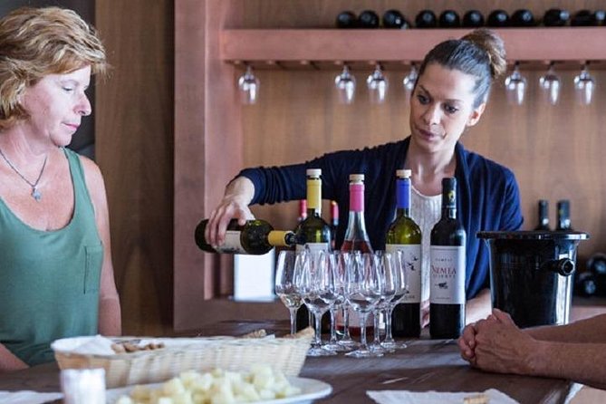 Wine Tour at the Footsteps of Hercules in Nemea From Nafplio - Wine Tasting Experience