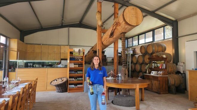 Wine Tour by Overland Madeira - Vineyard Visits and Cellars