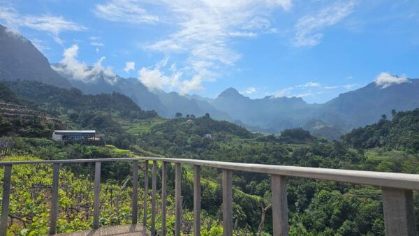 Wine Tour by Overland Madeira - Pickup and Drop-off