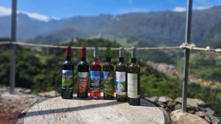 Wine Tour by Overland Madeira - Pickup Details and Cancellation Policy